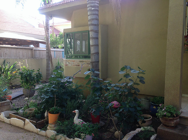 תמונה 6 נכס 115