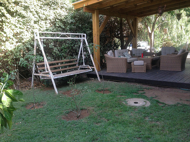 תמונה 11 נכס 115