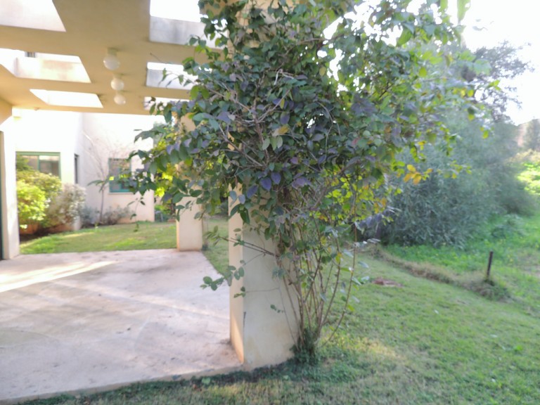 e5a044_e3e8accac9fb4a91b8815d3c2d940822