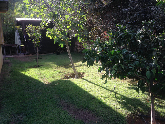 תמונה 7 נכס 115