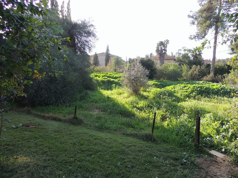 e5a044_edf45c1345c2482f8640e78ec5db94cd