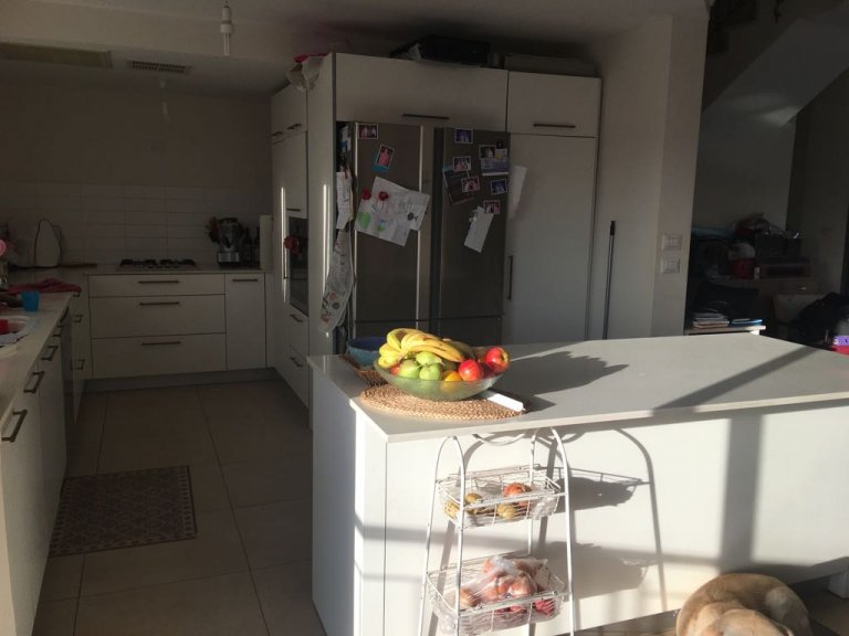 WhatsApp Image 2017-10-19 at 11.22.34 (14)