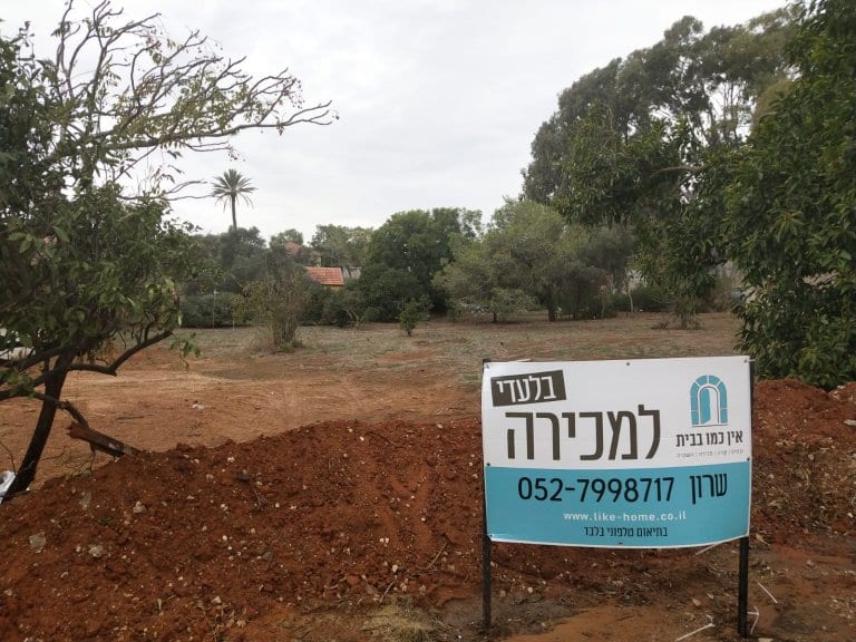 תמונה לפרסום