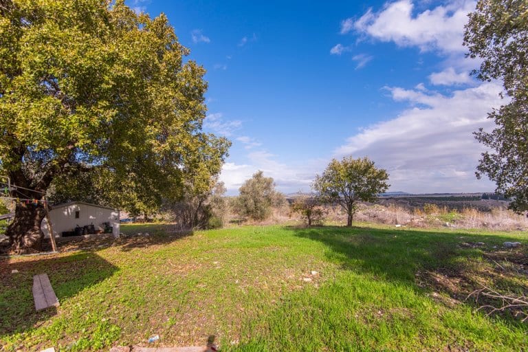 WhatsApp Image 2019-12-31 at 07.22.37 (1)