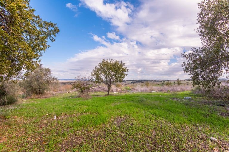 WhatsApp Image 2019-12-31 at 07.22.37 (2)