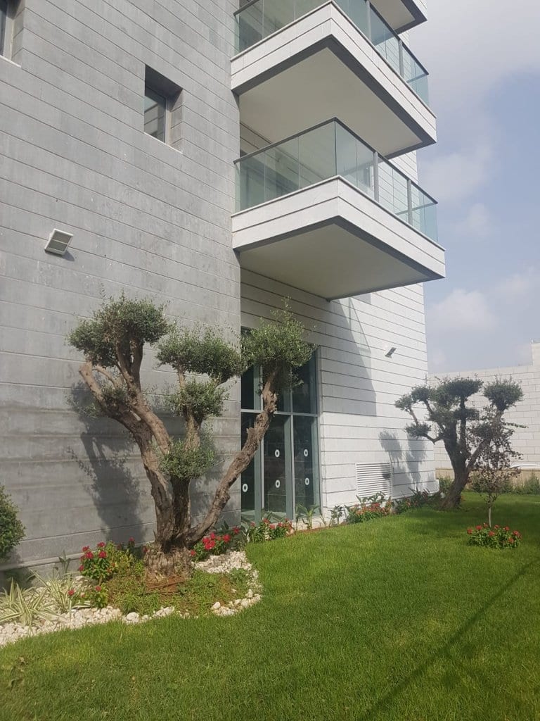 5c08b541-a61a-4b00-aba0-8e13a5100aaf