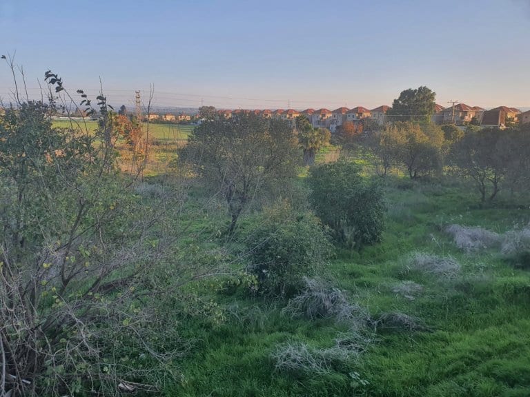 88d1d21a-ceb3-4e3e-81b4-14ff9f95c5f1