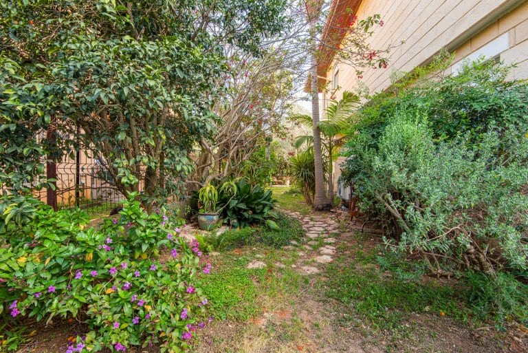 547c239b-b4a3-473a-aa97-736eade02586