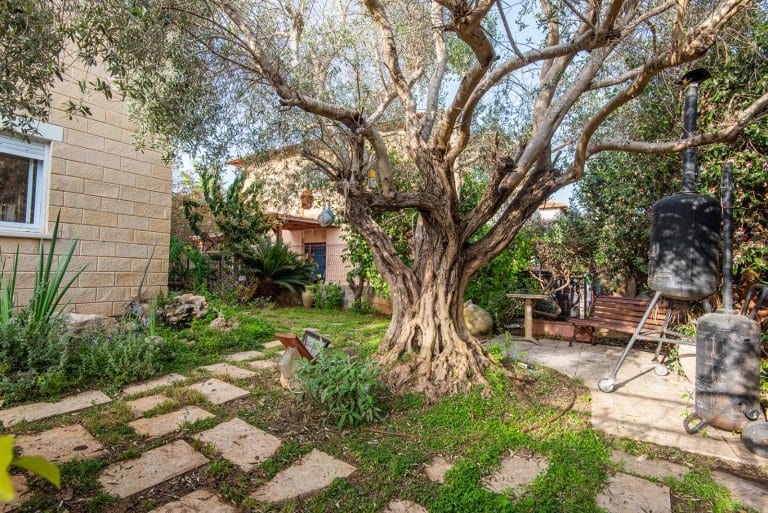 ae2049b8-bed7-4170-8f5b-1bce5f1f18f5