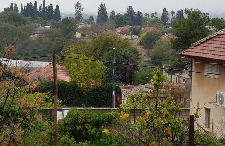 WhatsApp Image 2021-06-16 at 12.51.36