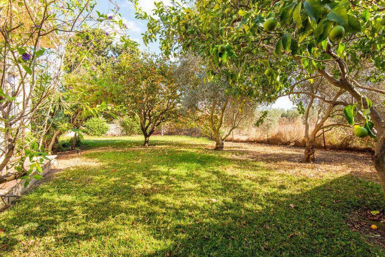 WhatsApp Image 2021-10-26 at 07.58.22 (2)