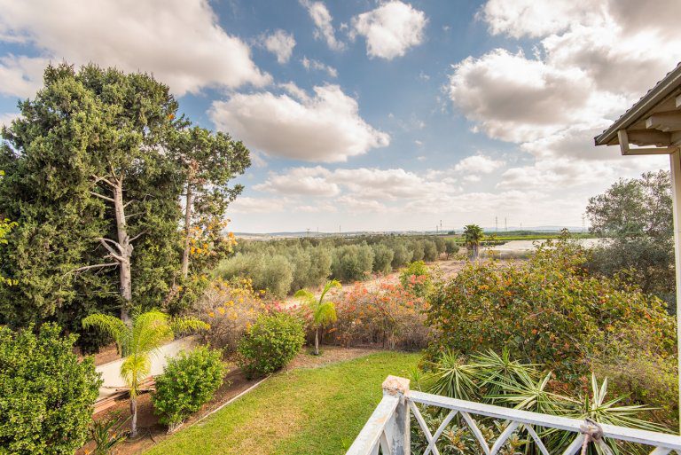 WhatsApp Image 2021-10-26 at 07.58.38