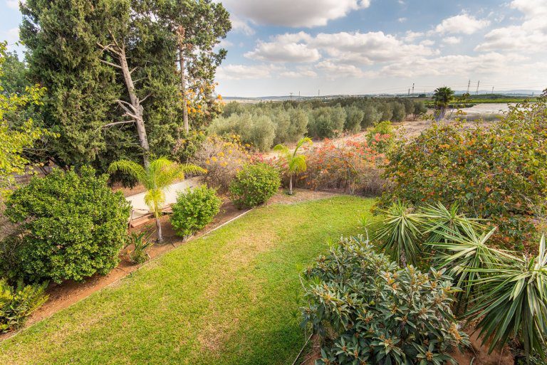 WhatsApp Image 2021-10-26 at 07.58.39