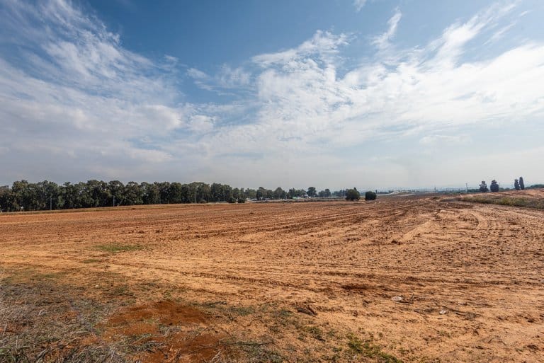 WhatsApp Image 2021-11-25 at 16.40.24 (1)