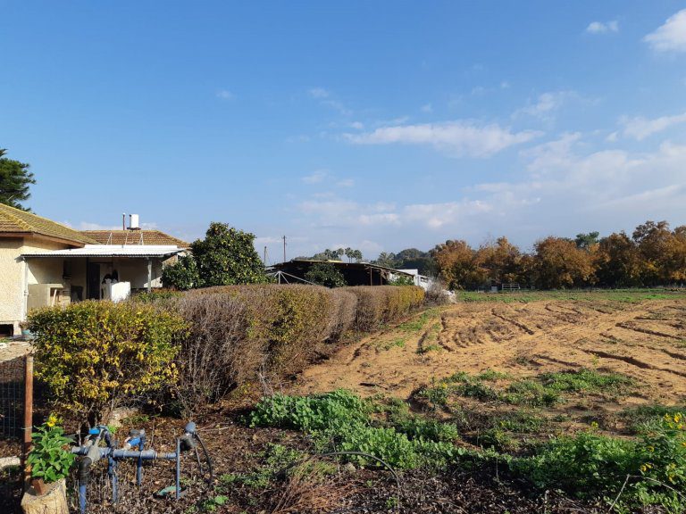 55c053ca-0833-468a-aa97-a57f64fd70b8