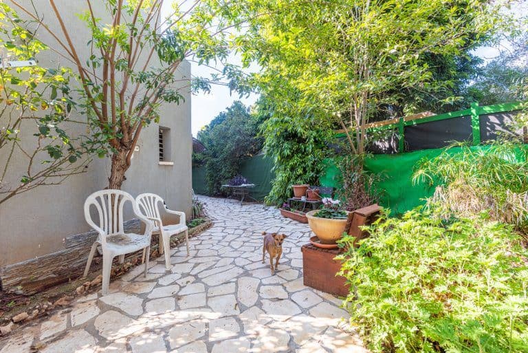 WhatsApp Image 2022-01-18 at 13.40.58 (1)