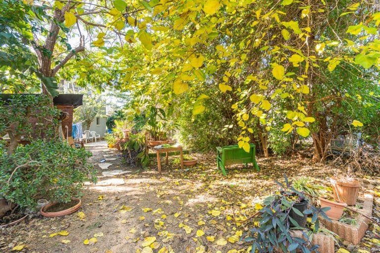 WhatsApp Image 2022-01-18 at 13.40.58