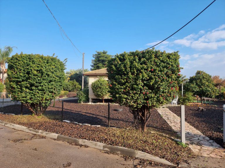 ad345b28-6cad-4cec-bb39-cf2f7c757291