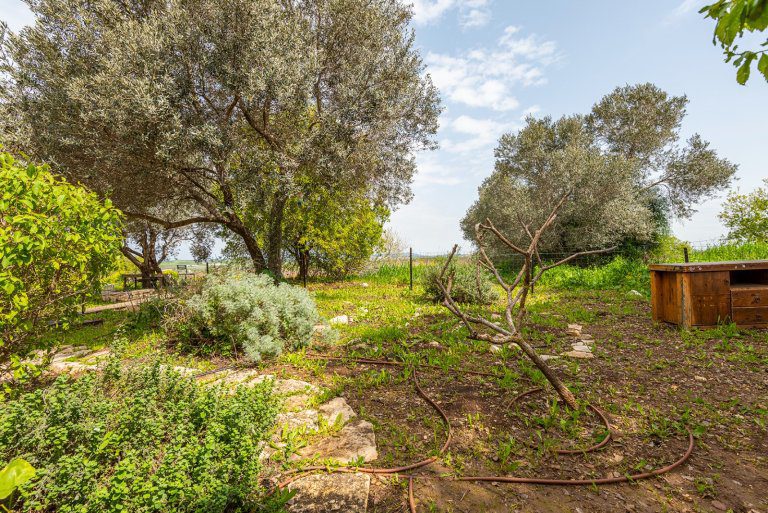 WhatsApp Image 2022-03-21 at 1.06.30 PM (2)