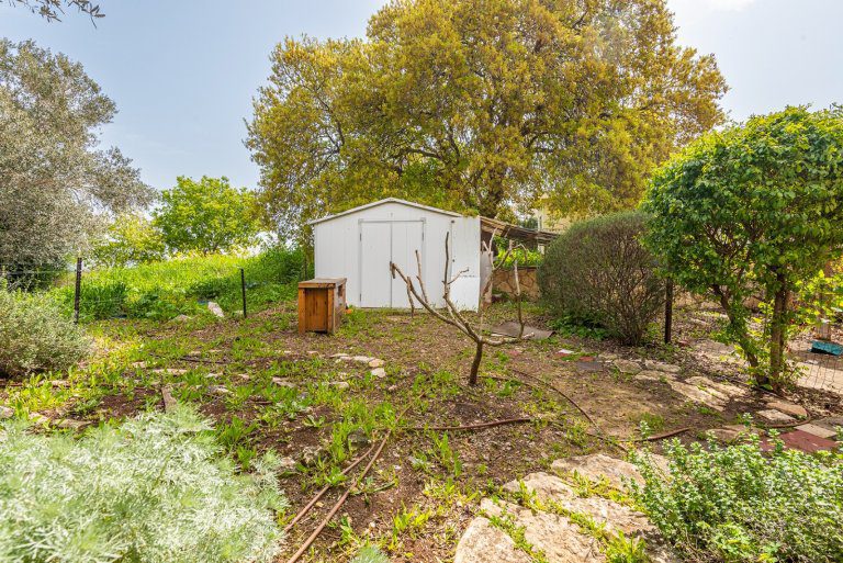 WhatsApp Image 2022-03-21 at 1.06.30 PM (3)