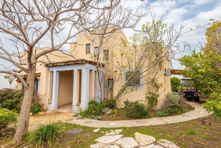 WhatsApp Image 2022-03-21 at 1.06.30 PM (6)