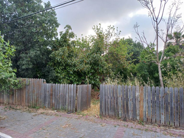 WhatsApp Image 2022-05-02 at 13.01.56 (1)