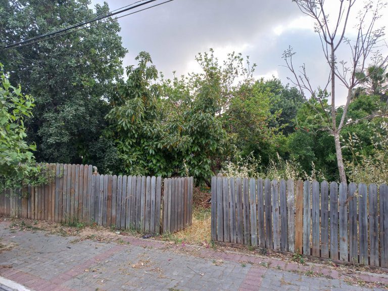 WhatsApp Image 2022-05-02 at 13.01.56 (2)