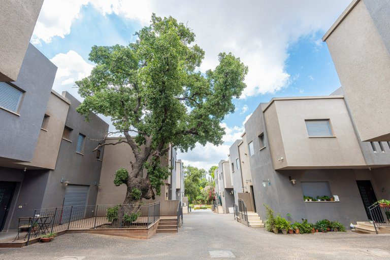 WhatsApp Image 2022-06-13 at 11.59.12 AM (1)