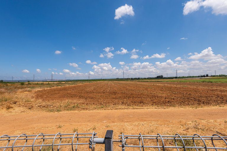 WhatsApp Image 2022-06-14 at 15.07.27 (1)