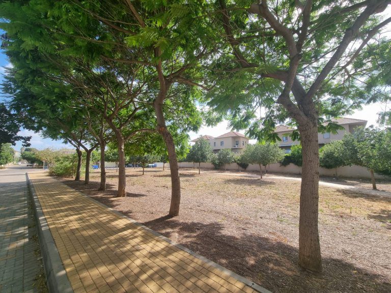 WhatsApp Image 2022-06-15 at 12.40.34 (1)