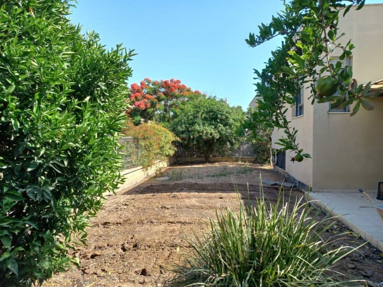 WhatsApp Image 2022-06-21 at 09.55.46