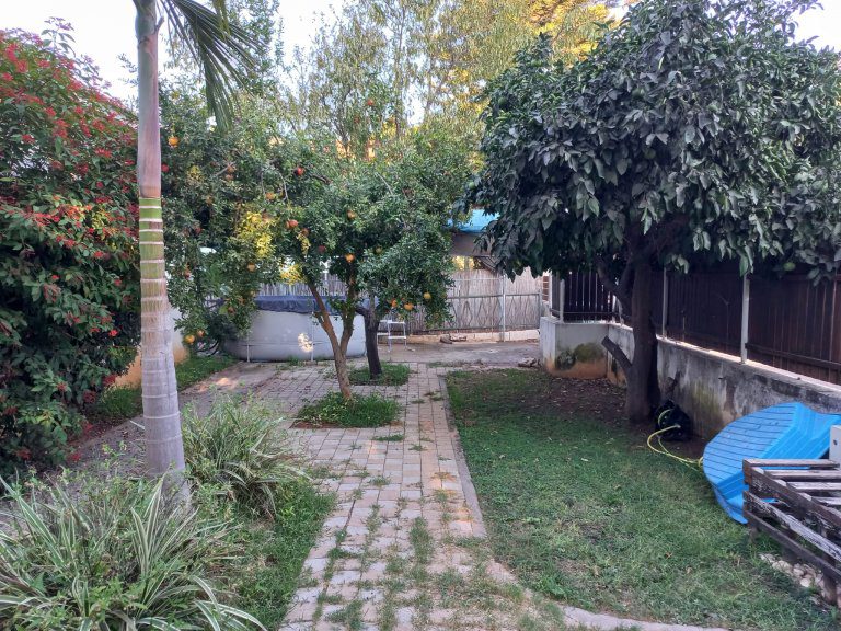 WhatsApp Image 2022-09-13 at 11.51.42