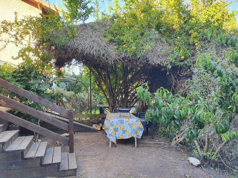 WhatsApp Image 2022-09-20 at 4.08.36 PM