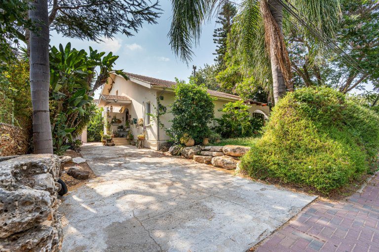 תמונה ראשית